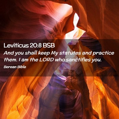 Picture 02 - Leviticus 20:8 BSB - And you shall keep My statutes and practice them. - Bible Verse Picture