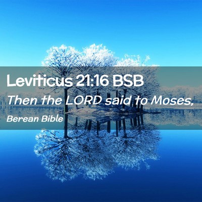 Picture 02 - Leviticus 21:16 BSB - Then the LORD said to - Bible Verse Picture