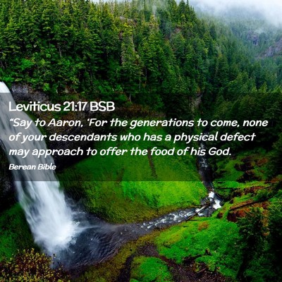 Picture 02 - Leviticus 21:17 BSB - “Say to Aaron, ‘For the generations to come, - Bible Verse Picture