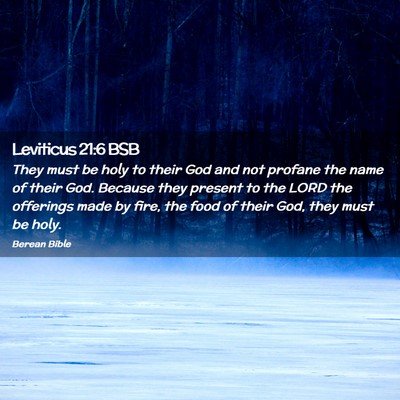 Picture 02 - Leviticus 21:6 BSB - They must be holy to their God and not profane - Bible Verse Picture