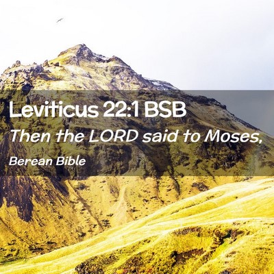 Picture 02 - Leviticus 22:1 BSB - Then the LORD said to - Bible Verse Picture