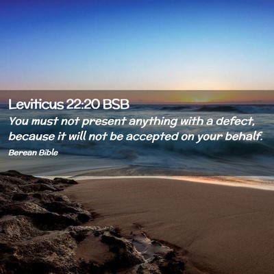 Picture 02 - Leviticus 22:20 BSB - You must not present anything with a defect, - Bible Verse Picture