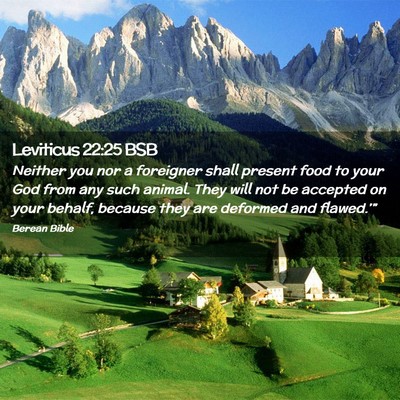 Picture 02 - Leviticus 22:25 BSB - Neither you nor a foreigner shall present food to - Bible Verse Picture