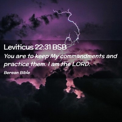 Picture 02 - Leviticus 22:31 BSB - You are to keep My commandments and practice - Bible Verse Picture