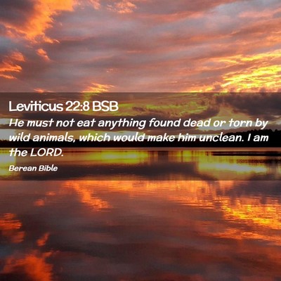 Picture 02 - Leviticus 22:8 BSB - He must not eat anything found dead or torn by - Bible Verse Picture