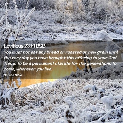 Picture 02 - Leviticus 23:14 BSB - You must not eat any bread or roasted or new - Bible Verse Picture