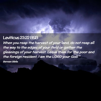Picture 02 - Leviticus 23:22 BSB - When you reap the harvest of your land, do not - Bible Verse Picture