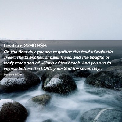 Picture 02 - Leviticus 23:40 BSB - On the first day you are to gather the fruit of - Bible Verse Picture