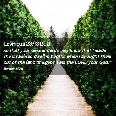 Picture 02 - Leviticus 23:43 BSB - so that your descendants may know that I made the - Bible Verse Picture