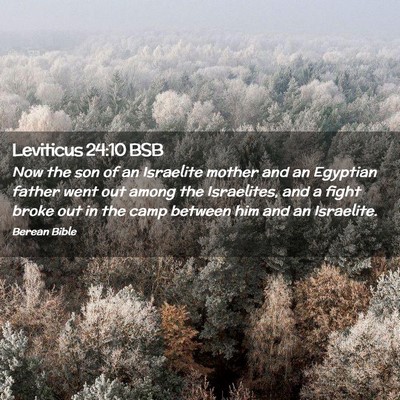 Picture 02 - Leviticus 24:10 BSB - Now the son of an Israelite mother and an - Bible Verse Picture