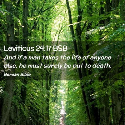 Picture 02 - Leviticus 24:17 BSB - And if a man takes the life of anyone else, he - Bible Verse Picture
