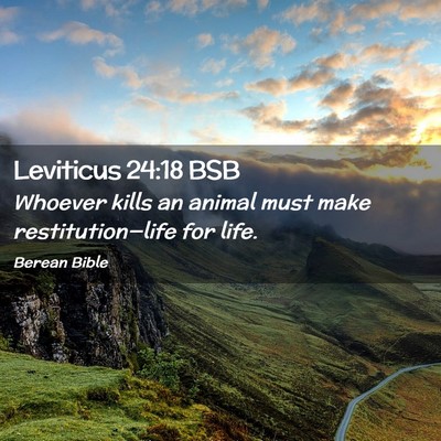 Picture 02 - Leviticus 24:18 BSB - Whoever kills an animal must make - Bible Verse Picture