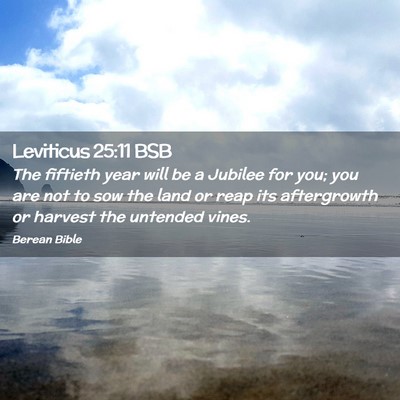 Picture 02 - Leviticus 25:11 BSB - The fiftieth year will be a Jubilee for you; you - Bible Verse Picture