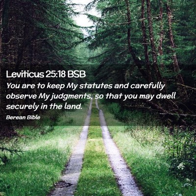 Picture 02 - Leviticus 25:18 BSB - You are to keep My statutes and carefully observe - Bible Verse Picture