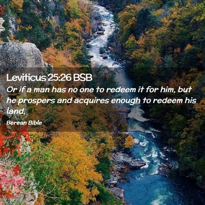 Picture 02 - Leviticus 25:26 BSB - Or if a man has no one to redeem it for him, but - Bible Verse Picture