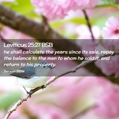 Picture 02 - Leviticus 25:27 BSB - he shall calculate the years since its sale, - Bible Verse Picture