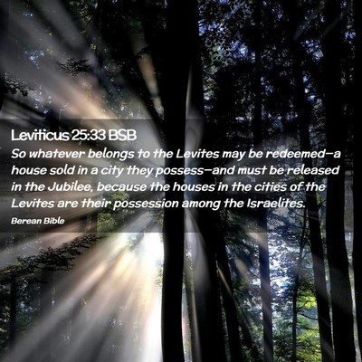 Picture 02 - Leviticus 25:33 BSB - So whatever belongs to the Levites may be - Bible Verse Picture