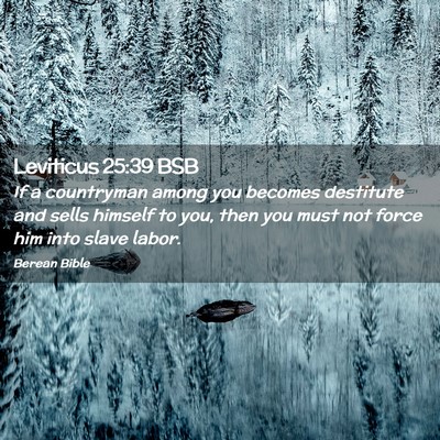 Picture 02 - Leviticus 25:39 BSB - If a countryman among you becomes destitute and - Bible Verse Picture