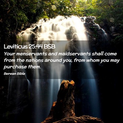 Picture 02 - Leviticus 25:44 BSB - Your menservants and maidservants shall come from - Bible Verse Picture