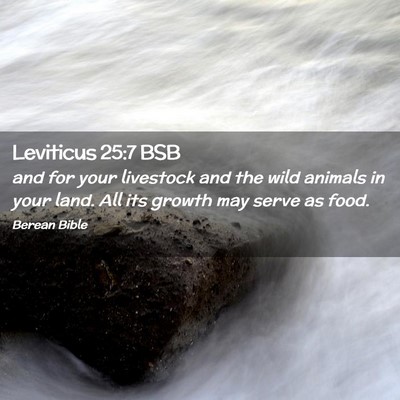 Picture 02 - Leviticus 25:7 BSB - and for your livestock and the wild animals in - Bible Verse Picture