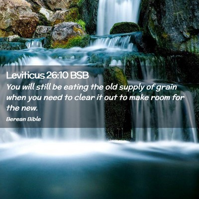 Picture 02 - Leviticus 26:10 BSB - You will still be eating the old supply of grain - Bible Verse Picture