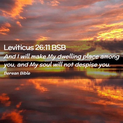 Picture 02 - Leviticus 26:11 BSB - And I will make My dwelling place among you, and - Bible Verse Picture