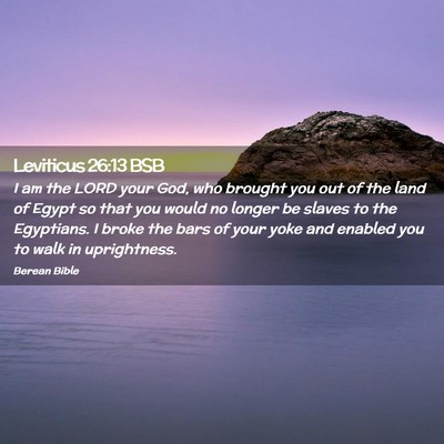 Picture 02 - Leviticus 26:13 BSB - I am the LORD your God, who brought you out of - Bible Verse Picture