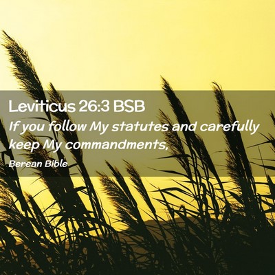 Picture 02 - Leviticus 26:3 BSB - If you follow My statutes and carefully keep My - Bible Verse Picture