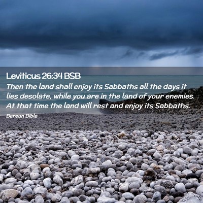 Picture 02 - Leviticus 26:34 BSB - Then the land shall enjoy its Sabbaths all the - Bible Verse Picture