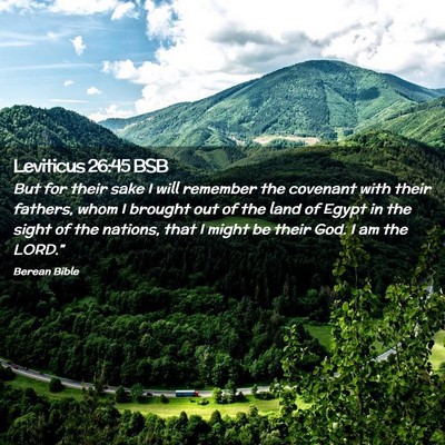 Picture 02 - Leviticus 26:45 BSB - But for their sake I will remember the covenant - Bible Verse Picture