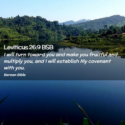 Picture 02 - Leviticus 26:9 BSB - I will turn toward you and make you fruitful and - Bible Verse Picture