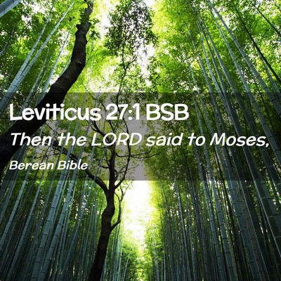 Picture 02 - Leviticus 27:1 BSB - Then the LORD said to - Bible Verse Picture