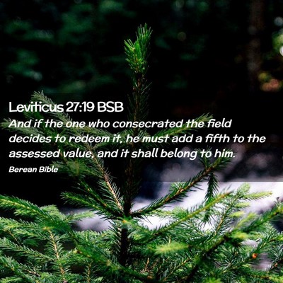 Picture 02 - Leviticus 27:19 BSB - And if the one who consecrated the field decides - Bible Verse Picture