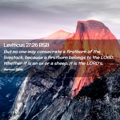 Picture 02 - Leviticus 27:26 BSB - But no one may consecrate a firstborn of the - Bible Verse Picture