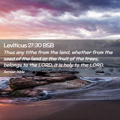 Picture 02 - Leviticus 27:30 BSB - Thus any tithe from the land, whether from the - Bible Verse Picture