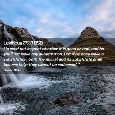 Picture 02 - Leviticus 27:33 BSB - He must not inspect whether it is good or bad, - Bible Verse Picture