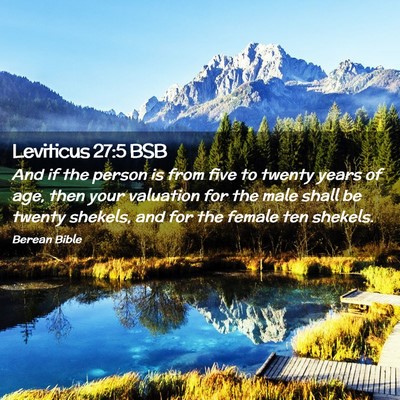 Picture 02 - Leviticus 27:5 BSB - And if the person is from five to twenty years of - Bible Verse Picture