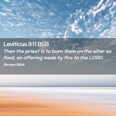 Picture 02 - Leviticus 3:11 BSB - Then the priest is to burn them on the altar as - Bible Verse Picture