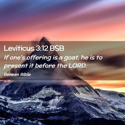 Picture 02 - Leviticus 3:12 BSB - If one’s offering is a goat, he is to present - Bible Verse Picture