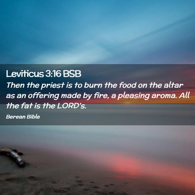 Picture 02 - Leviticus 3:16 BSB - Then the priest is to burn the food on the altar - Bible Verse Picture