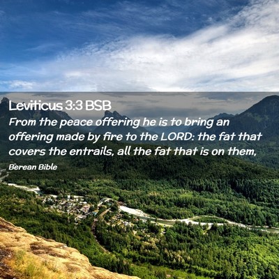 Picture 02 - Leviticus 3:3 BSB - From the peace offering he is to bring an - Bible Verse Picture