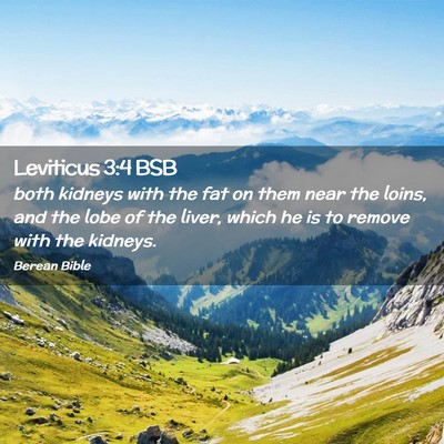 Picture 02 - Leviticus 3:4 BSB - both kidneys with the fat on them near the loins, - Bible Verse Picture