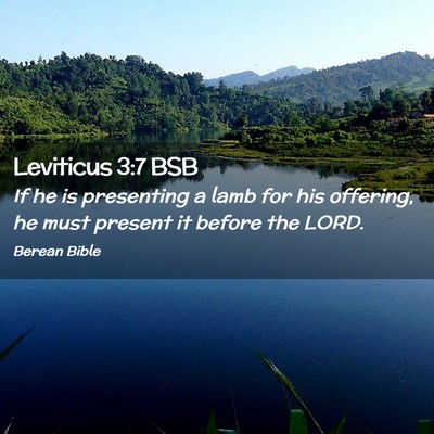 Picture 02 - Leviticus 3:7 BSB - If he is presenting a lamb for his offering, he - Bible Verse Picture