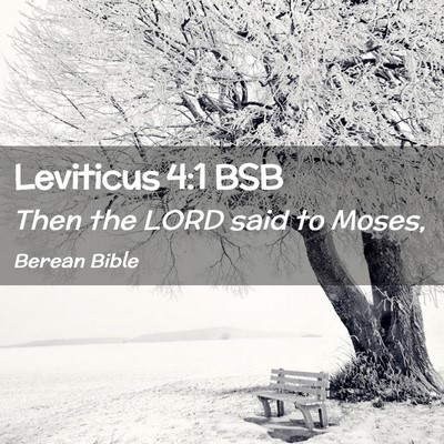 Picture 02 - Leviticus 4:1 BSB - Then the LORD said to - Bible Verse Picture