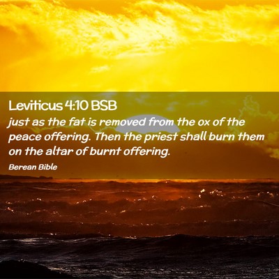 Picture 02 - Leviticus 4:10 BSB - just as the fat is removed from the ox of the - Bible Verse Picture
