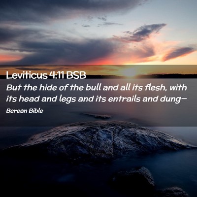 Picture 02 - Leviticus 4:11 BSB - But the hide of the bull and all its flesh, with - Bible Verse Picture