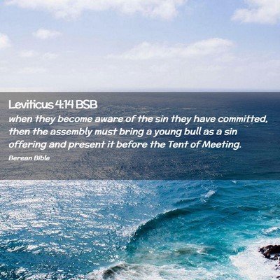 Picture 02 - Leviticus 4:14 BSB - when they become aware of the sin they have - Bible Verse Picture