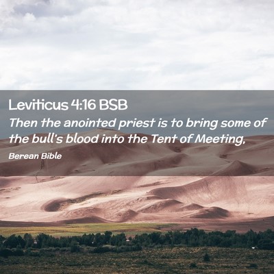 Picture 02 - Leviticus 4:16 BSB - Then the anointed priest is to bring some of the - Bible Verse Picture