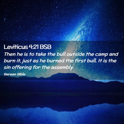 Picture 02 - Leviticus 4:21 BSB - Then he is to take the bull outside the camp and - Bible Verse Picture