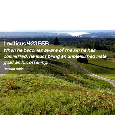 Picture 02 - Leviticus 4:23 BSB - When he becomes aware of the sin he has - Bible Verse Picture